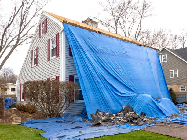 Best Demolition Debris Removal  in Mentone, CA